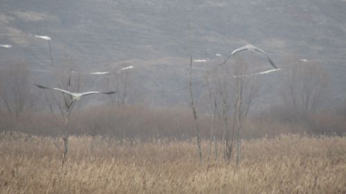 Әтнә районы Ашыт буеның язгы мизгелләре