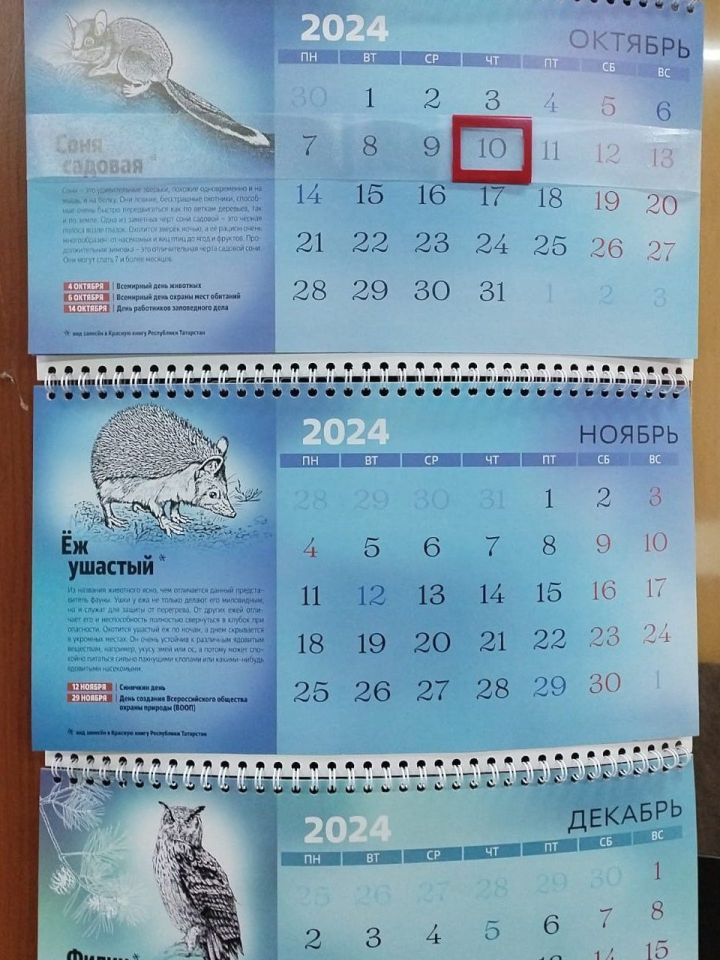 2025 елда отпуск алыр өчен иң отышлы айлар билгеле