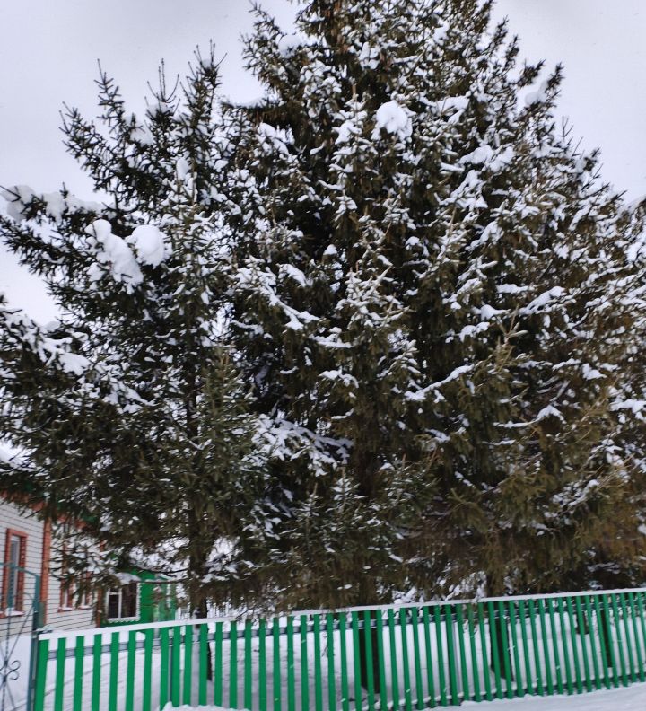 Һава торышы