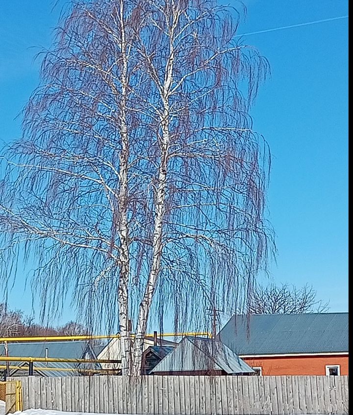 Һава торышы
