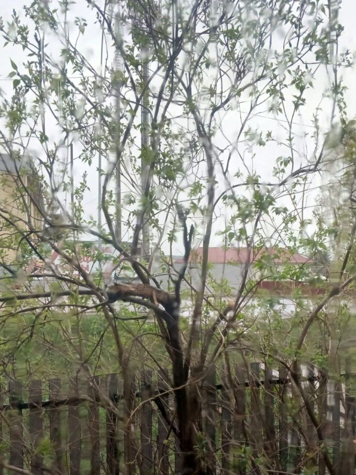 Һава торышы