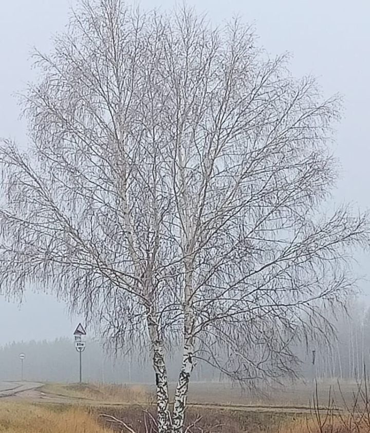 Һава торышы