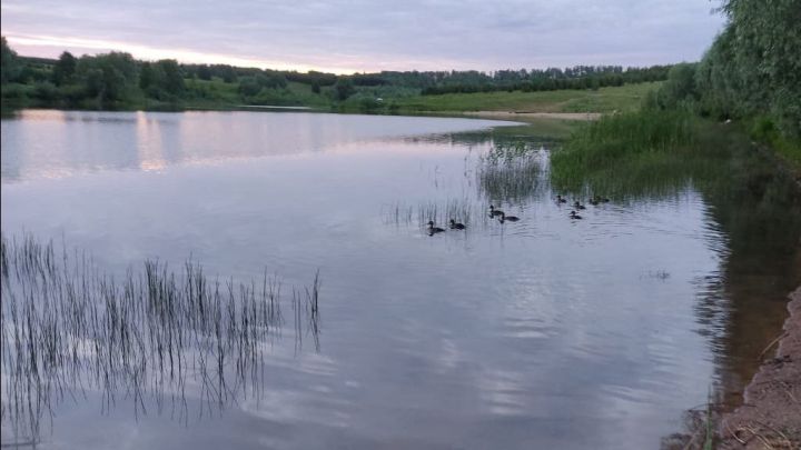 Һава торышы