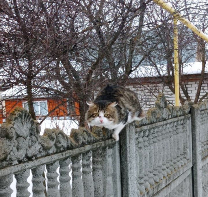 Әтнәдә температураның күтәрелүе фаразлана