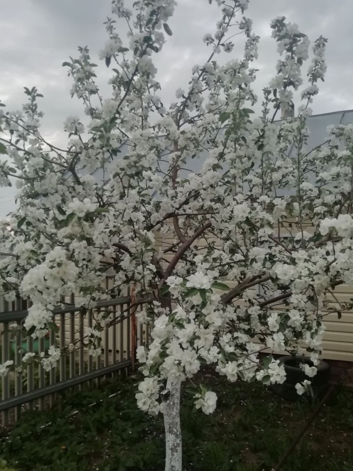 Татарстан Республикасы Дәүләт Советы Рәисе Ф.Х. Мөхәммәтшинның Яз һәм Хезмәт бәйрәме уңаеннан котлавы
