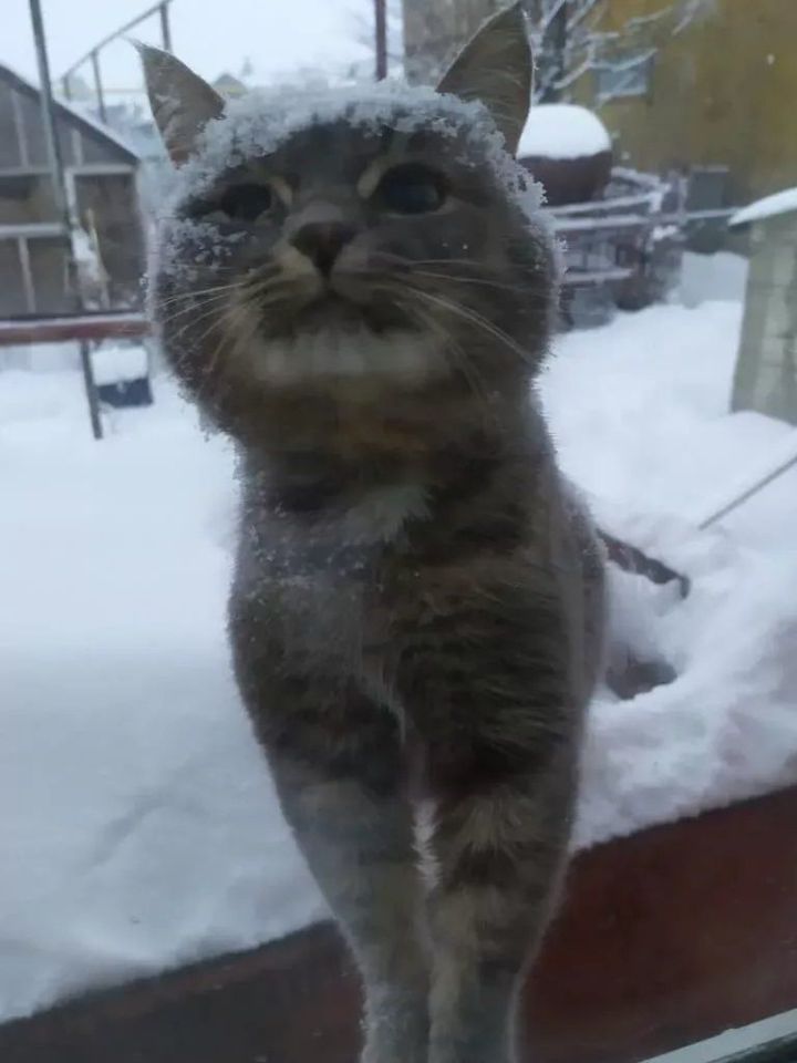 Бүген Әтнәдә температура −32 градуска кадәр төшәчәк