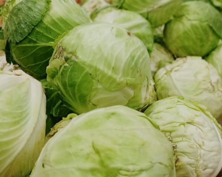 Кәбестәдән пирог