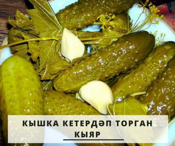 Кетердәп торган кыяр