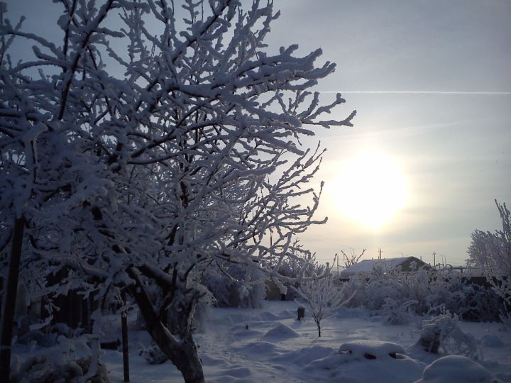 Элеке суыклар кире кайта