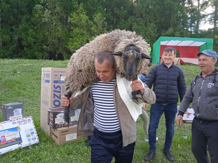 Сабантуйның абсолют батыры - Ирек Мөхәммәтшин