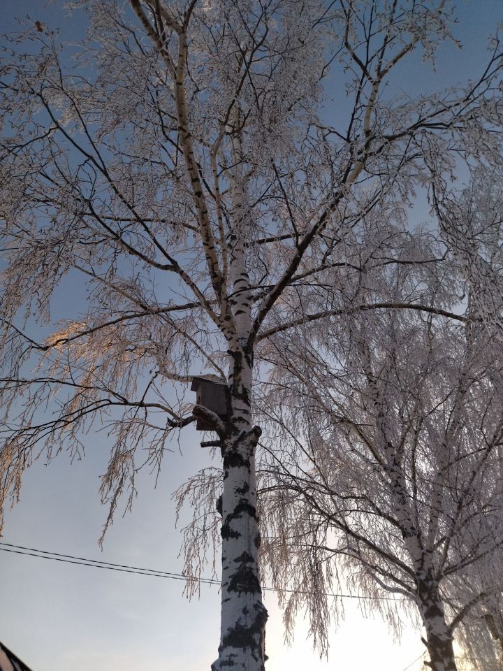 Һава торышы