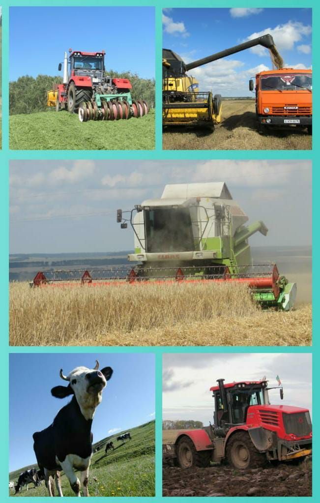 8 октябрь – авыл хуҗалыгы һәм эшкәртү сәнәгате хезмәткәрләре көне