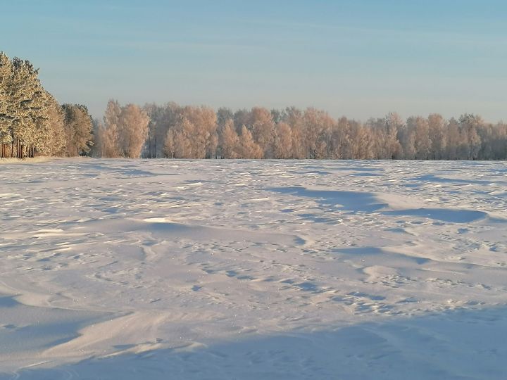 Олы Әтнәдә ике ир-ат һәм хатын-кыз сөрем газы белән агуланып үлде