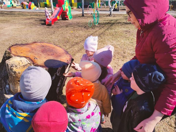 Табигать кышкы йокыдан уянды