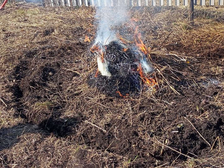 Татарстанда 17 апрельдән 10 майга кадәр чүп-чар, үлән яндыру һәм шашлык кыздыру тыела