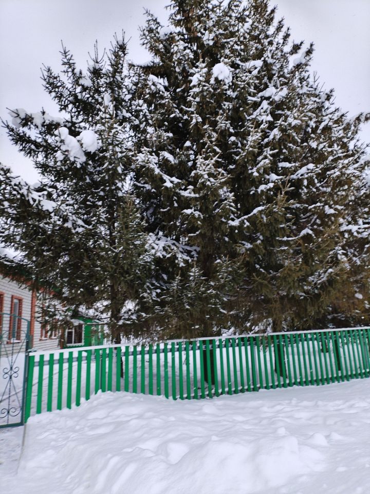 Һава торышы