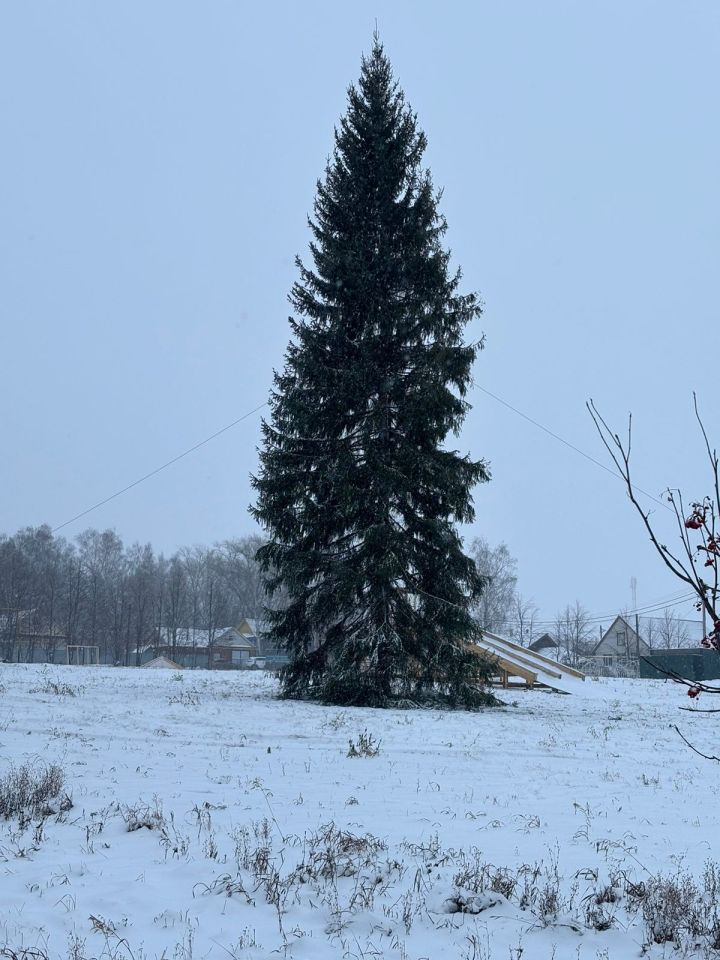 Урман сылуы Әтнәне бизи