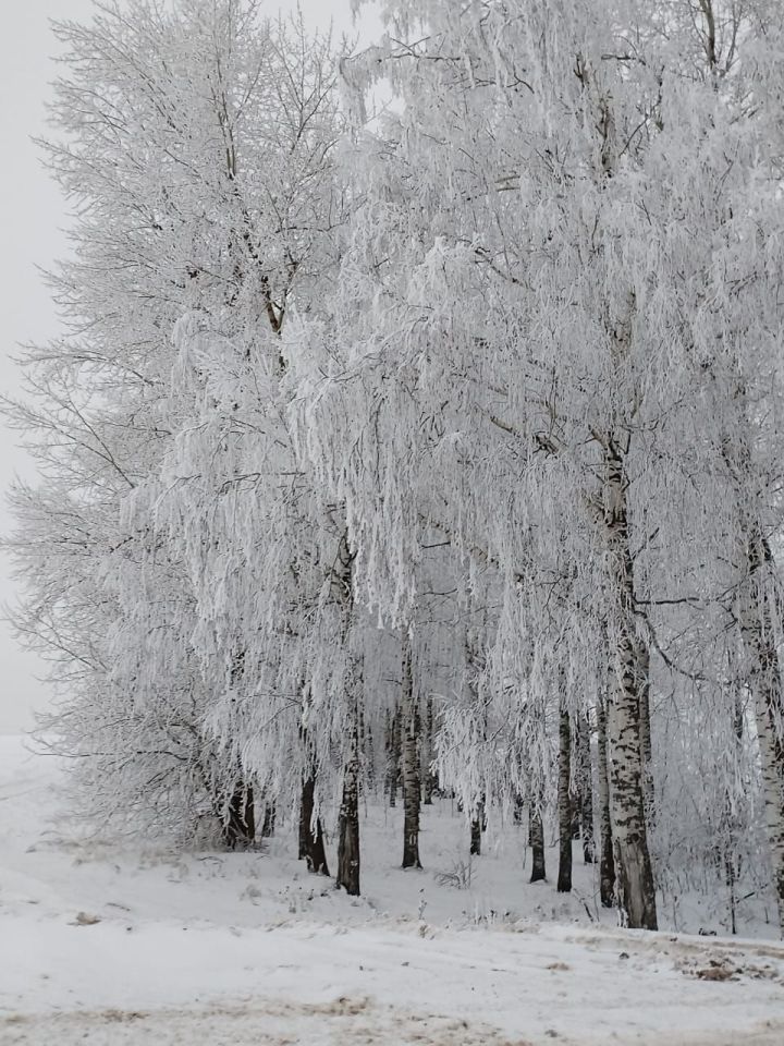 Яңа ел төнендә нинди һава торышы көтелә?