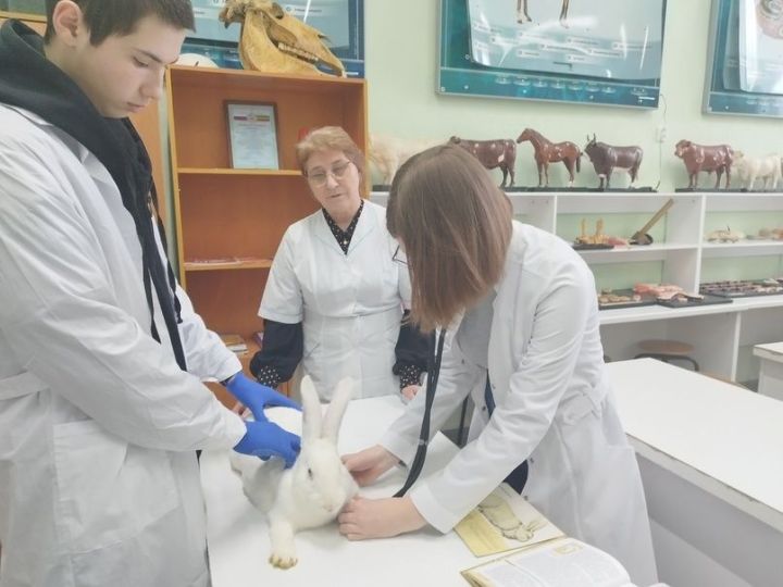 Белемнәрен практикада тикшерәләр
