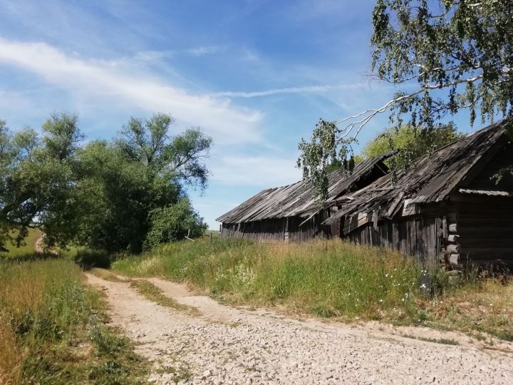 «Улым тавыкка җан кертәләр ахрысы», - дим, берсе татар булып чыкты, көлеп җибәрде