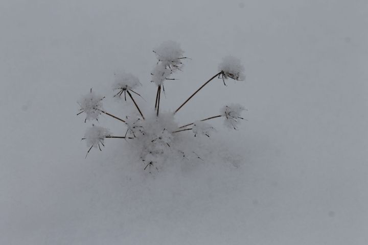 Әтнәдә һава торышы