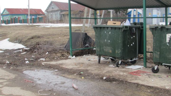 Чисталыкны һәркайсыбыз ярата