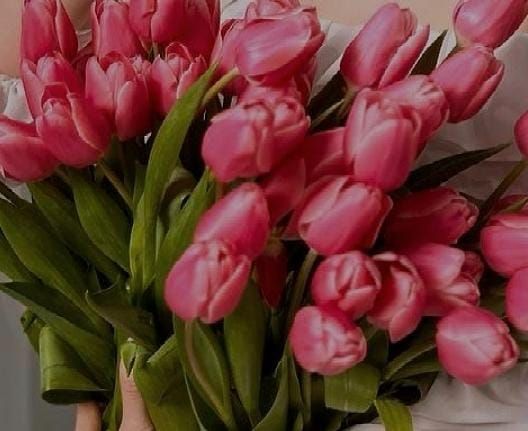 Татарстанда 7 март кыскартылган эш көне