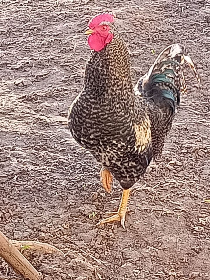 Әтнәдә  +8 градуска кадәр җылыта, көчле җил булуы мөмкин