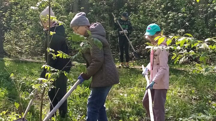 «Чиста чишмә» акциясенә кушылдыңмы?
