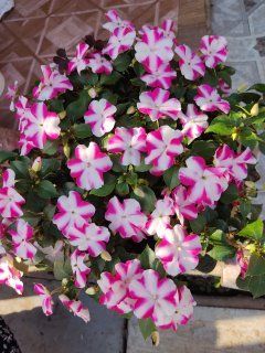 Бүген Әтнәдә болытлы һава торышы булачак