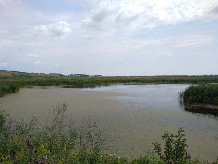 Бүген Әтнәдә кыска вакытлы яңгырлар