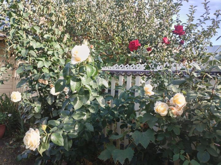 Бүген Әтнәдә аязучан болытлы һава көтелә