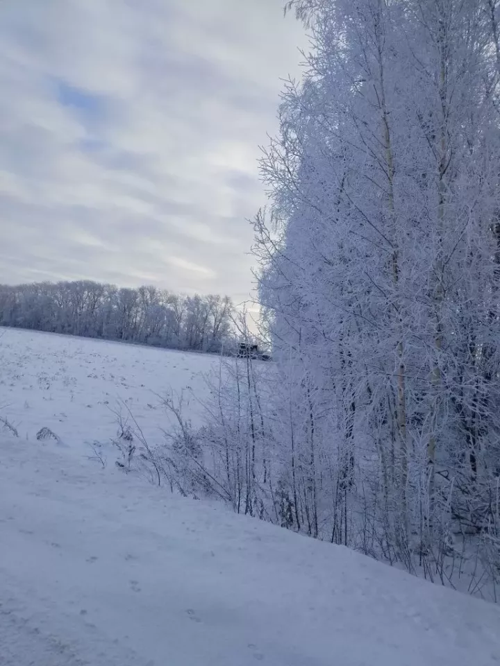 Бүген Әтнәдә нинди һава торышы?