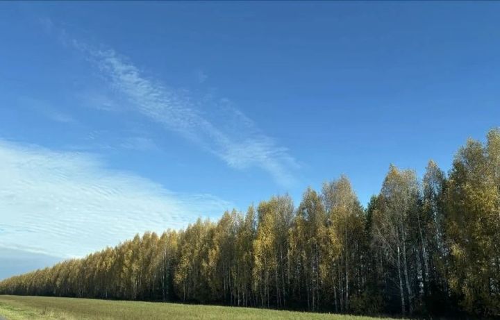 Үткән төндә Россиядә дошманның 800дән артык пилотсыз очкычы юк ителгән