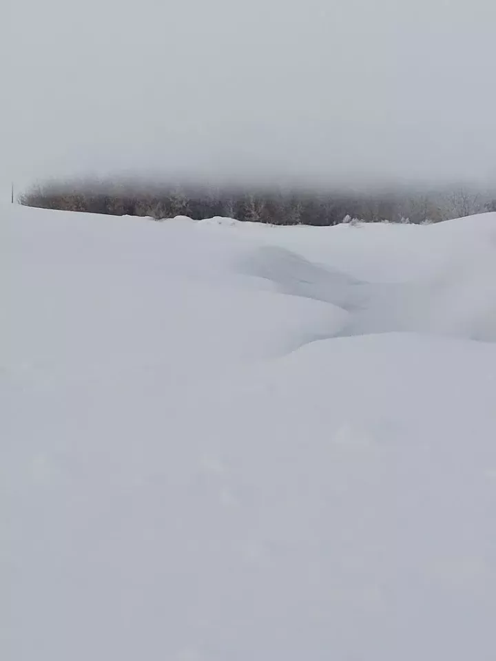 Татарстанга буран якынлашу сәбәпле, торак пунктлардан читкә чыкмаска киңәш ителә