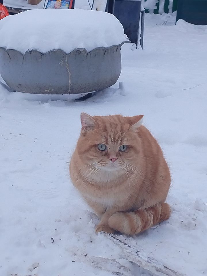 Әтнәдә температураның түбәнәюе көтелә