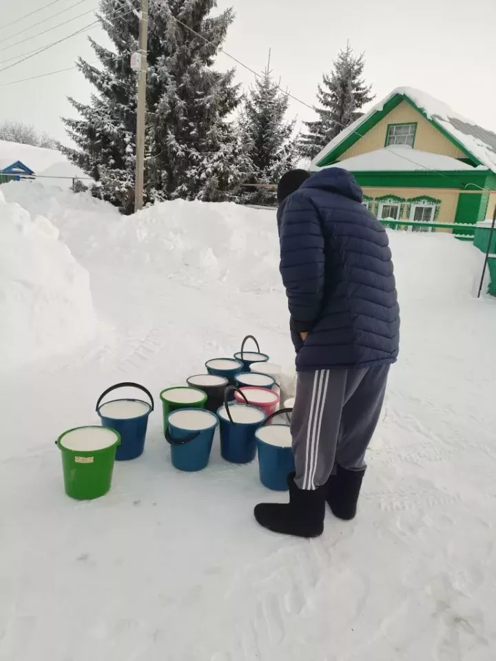 Сөт бәясе төшү сәбәпле, Татарстан хуҗалыклары 1,5 млрд сум акча югалткан
