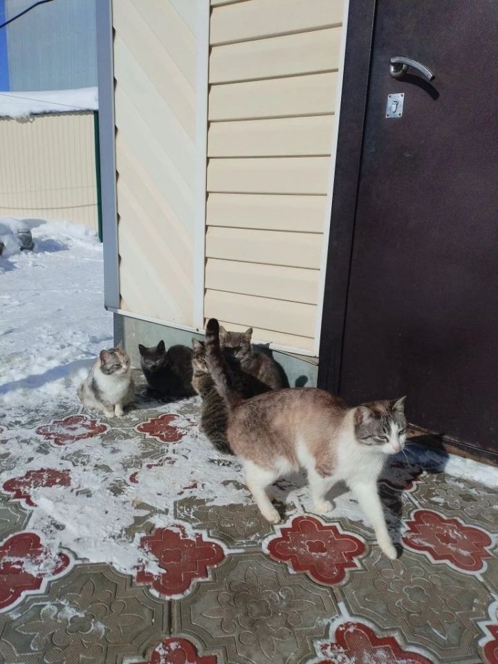 Бүген Әтнәдә аяз һава торышы көтелә