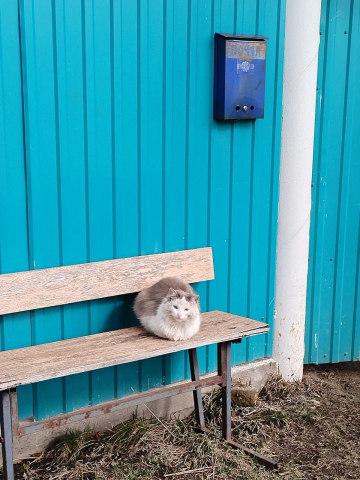 Бүген Әтнәдә аяз һава торышы саклана