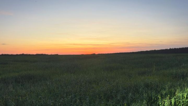 Акыллы сүз алтыннан кыйбат