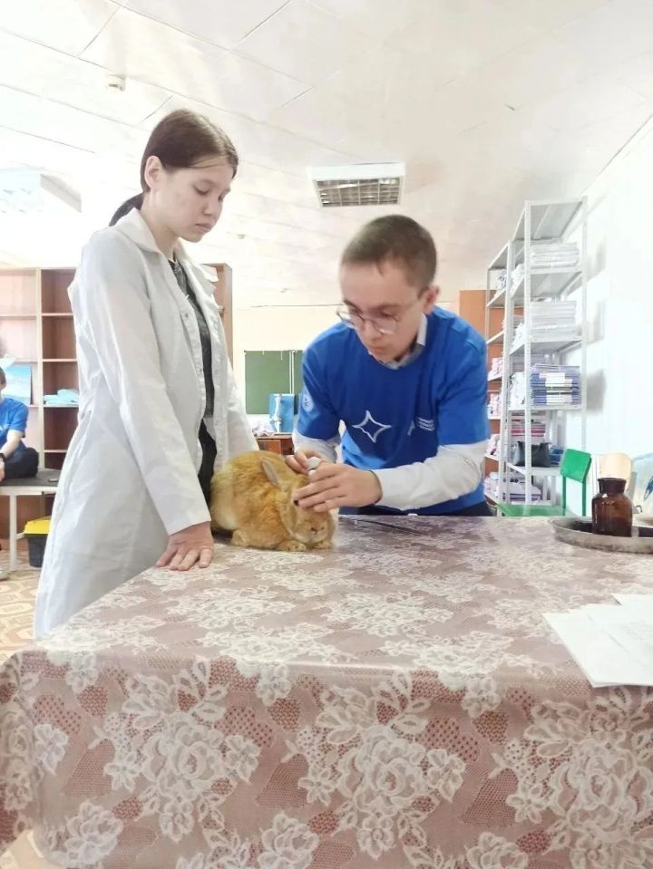 Әтнә авыл хуҗалыгы техникумы «Профессионалитет» федераль проектының «Яшьләр һәм балалар» милли проектына кушылды
