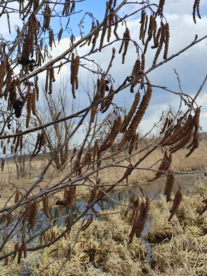 Әтнәдә кыска вакытлы карлы яңгыр һәм яшен булуы ихтимал