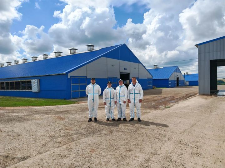 Әтнәдә яңалык: киләчәк ясалма интеллект кулында