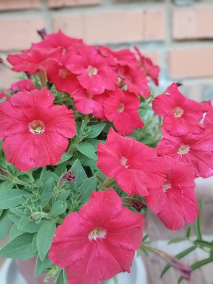 Әтнәдә температура +27 градус булачак
