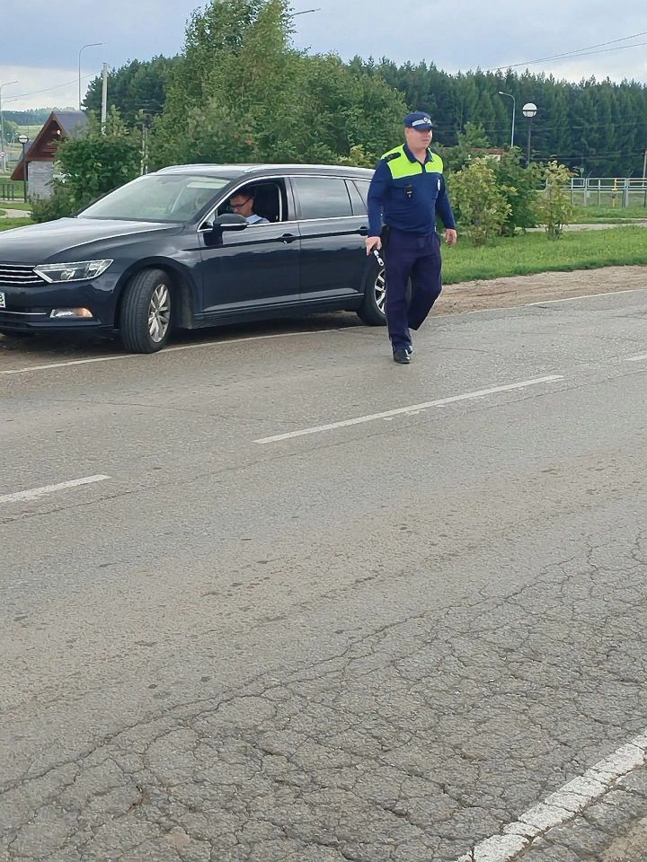 Йөртүчеләр, ашыкмагыз!
